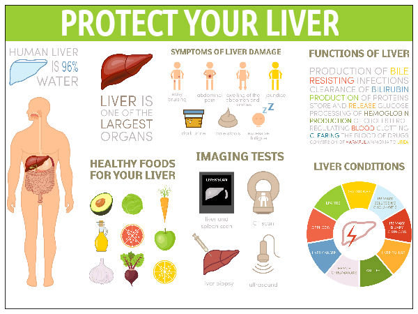 Tested Ways in Protecting Your Liver - Tested Ways in Protecting Your Liver