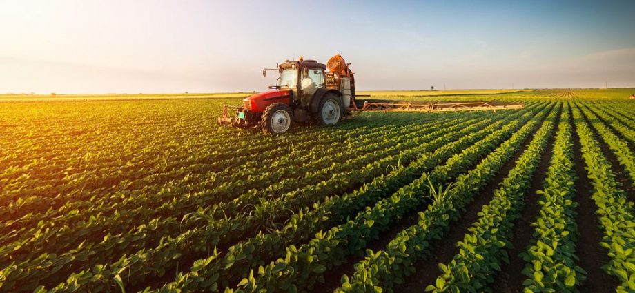 shutterstock 653708227 920x425 - The Agriculture Business